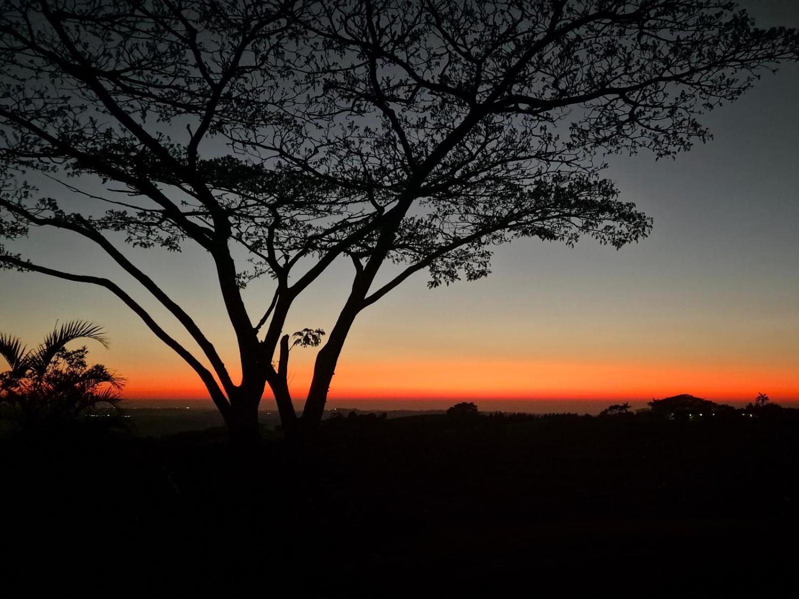 Silverstreams Lodge, Villas & Cottages, Oribi Gorge Glendale Exterior foto